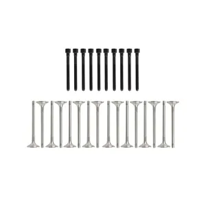 Head Gasket Set Timing Chain-Tool Kit Valves