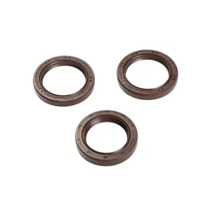 Timing Belt Kit Water Pump