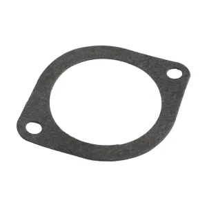 Water Pump w Thermostat