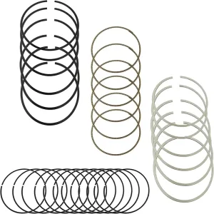 Piston ring
