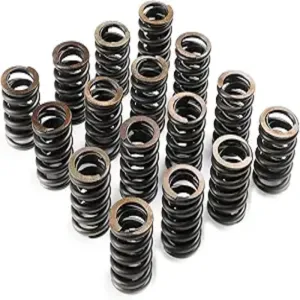 Valve Spring Set
