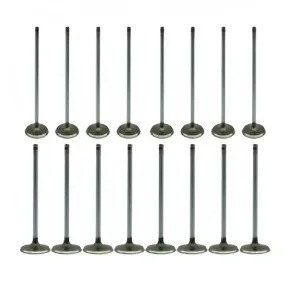 Engine Parts Camshaft Lifter Spring Kit for 99-07 Trucks/SUVs 5.3L V-8 VIN-T Z B