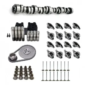 Engine Parts Camshaft Lifter Spring Kit for 99-07 Trucks/SUVs 5.3L V-8 VIN-T Z B
