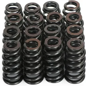 Engine Parts Camshaft Lifter Spring Kit for 99-07 Trucks/SUVs 5.3L V-8 VIN-T Z B