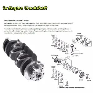 Engine Rebuild Overhaul Kit Crankshaft Rods Timing For Chevrolet Buick GMC 2.4L