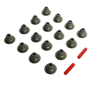 Fit Chevy GM 2.4 Exhaust & Intake Camshaft Kit w/ Valve Kit,Rocker arms LAF LUK