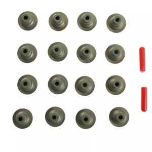 Fit Chevy GM 2.4 Exhaust & Intake Camshaft Kit w/ Valve Kit,Rocker arms LAF LUK