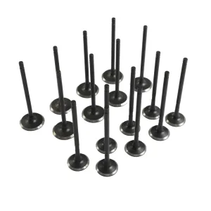 G4NC Engine Rebuild Overhaul Kit w/Crankshaft,Gasket,Piston For Hyundai Kia 2.0L