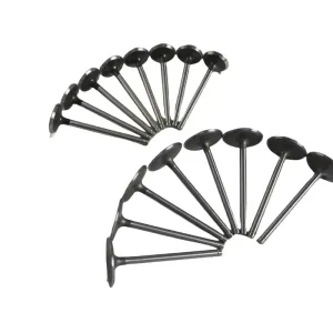 Gasket Set Timing Chain Kit Bolts for Chevrolet GM LS1 V8 OHV 4.8 5.3 2002-2004