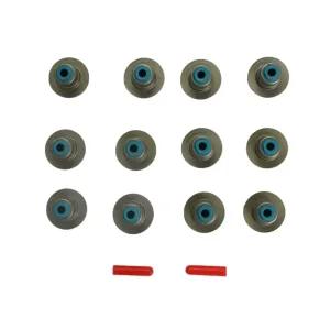 Engine Rebuild Kit For 02-12 Jeep Dodge Ram 3.7L V6 GAS SOHC Naturally Aspirated