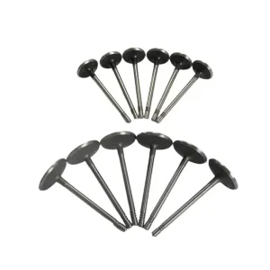 Engine Rebuild Kit - Timing Valve Bearing Gasket For 02-12 Jeep Dodge Ram 3.7L