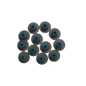 Engine Rebuild Kit - Timing Valve Bearing Gasket For 02-12 Jeep Dodge Ram 3.7L