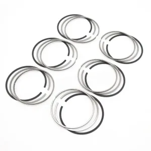 Piston Rings For Land Rover Discovery 3.0T 306DT Diesel New Model LR082722
